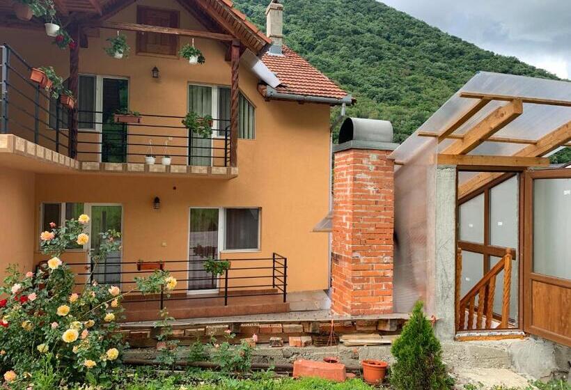 膳宿费 Casa Visescu