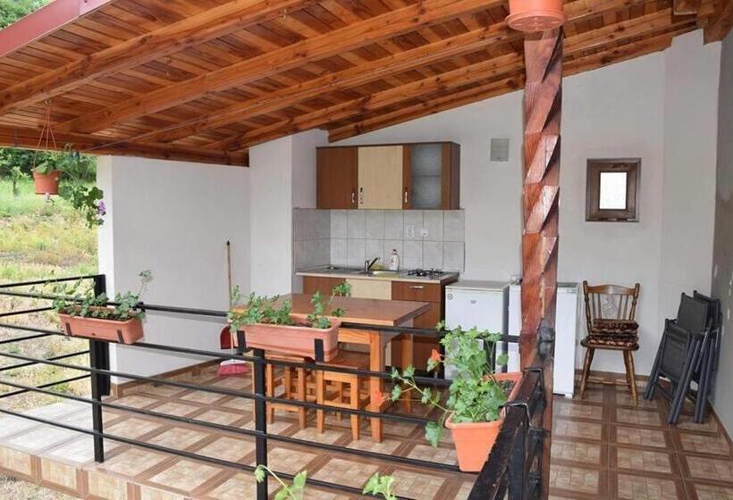 膳宿费 Casa Visescu