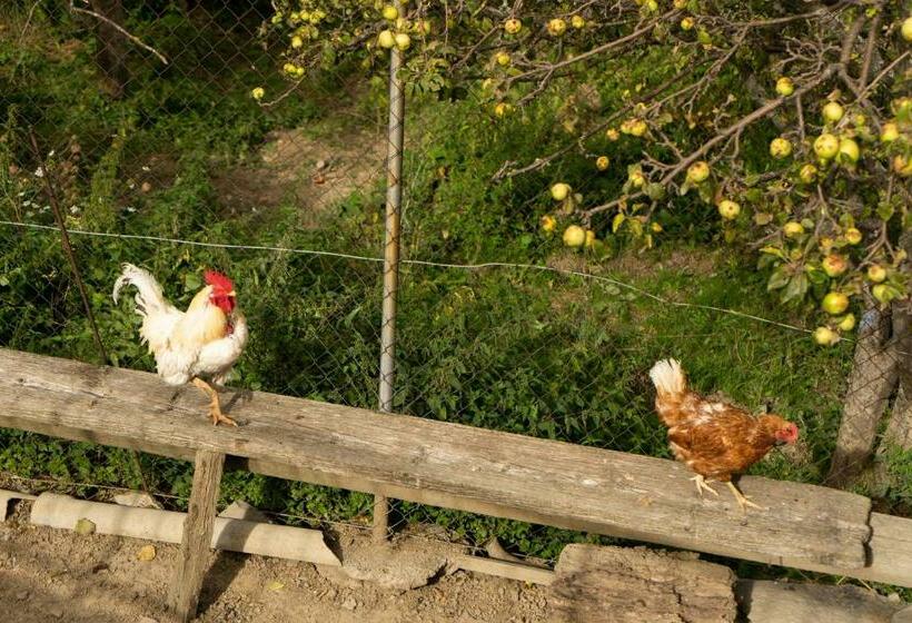 Пансион Hostal Rural Cal Xic Saldes