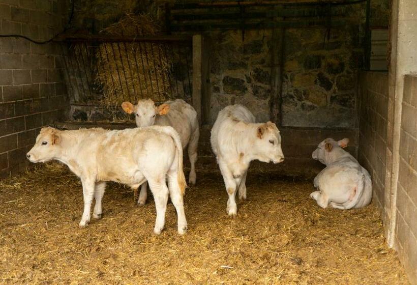 Пансион Hostal Rural Cal Xic Saldes