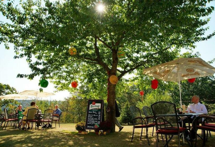 Пансион Penzion Fousek