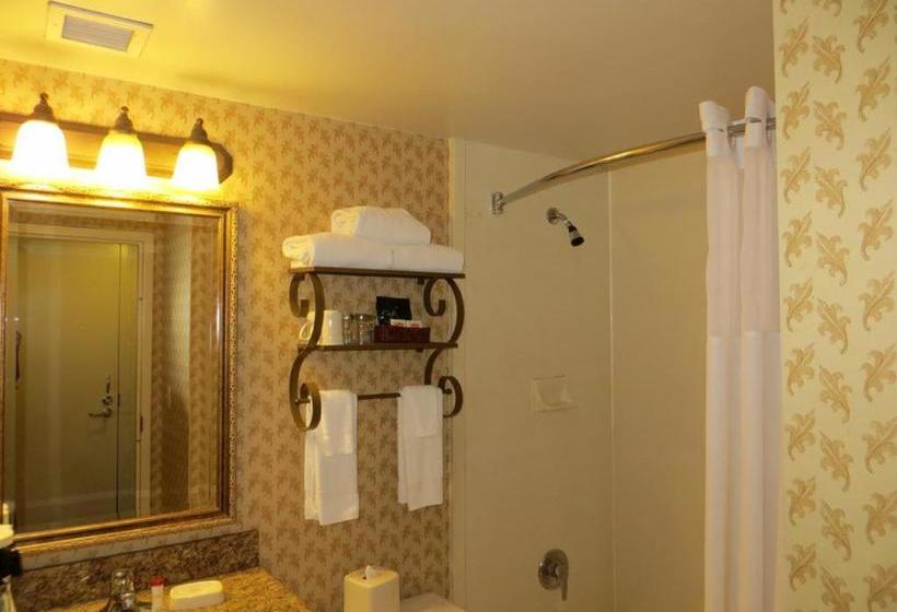 Gateway Hotel Dallas