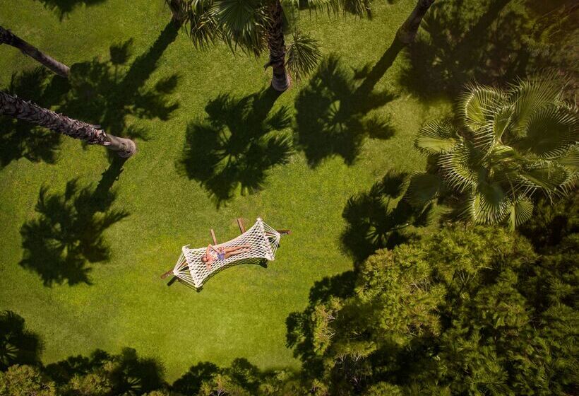 Akka Alinda Hotel   Premium Ultra All Inclusive