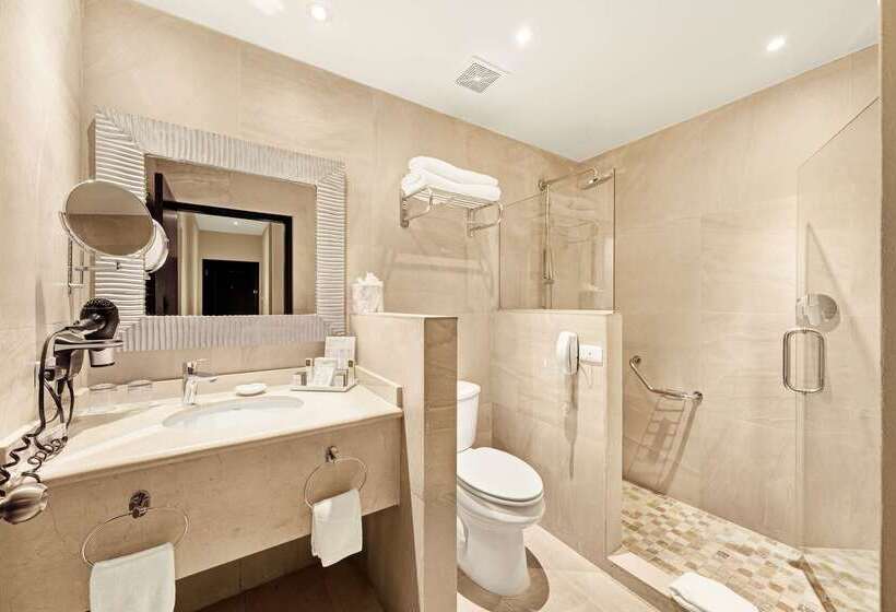 Hotell Barceló Aruba   All Inclusive