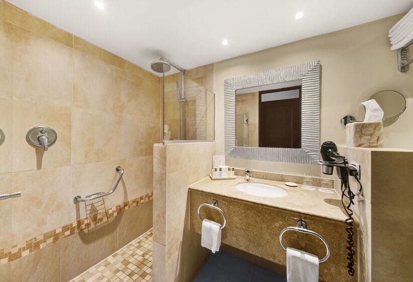 Hotell Barceló Aruba   All Inclusive