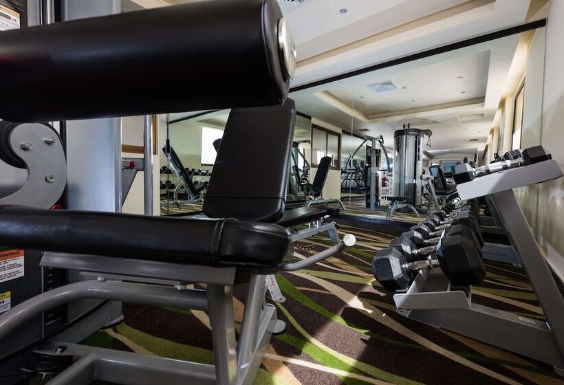 Hotell Barceló Aruba   All Inclusive