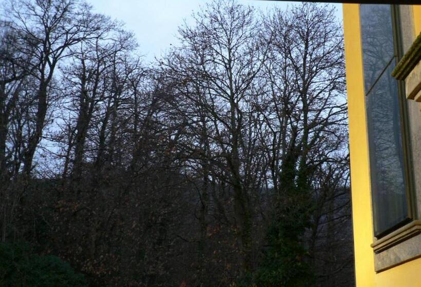 ホテル Benito Al Bosco