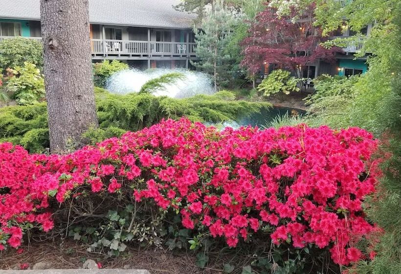 هتل Best Western Portland West Beaverton