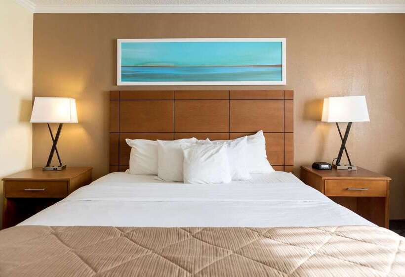 Clarion Hotel Detroit Metro Airport