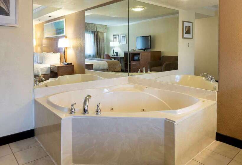 Clarion Hotel Detroit Metro Airport