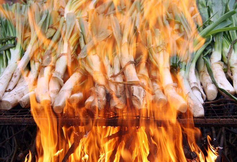 ホテル Class Valls