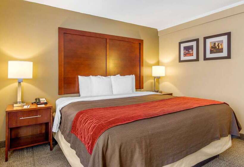 호텔 Comfort Inn Denver Central