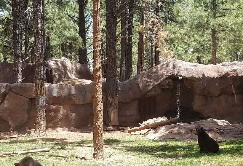 酒店 Comfort Inn Near Grand Canyon