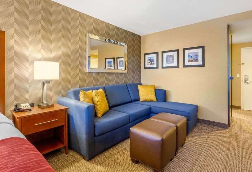 בית מלון כפרי Comfort Inn & Suites Logan International Airport