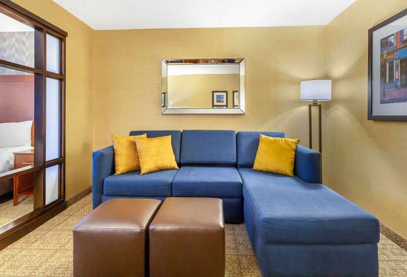 בית מלון כפרי Comfort Inn & Suites Logan International Airport