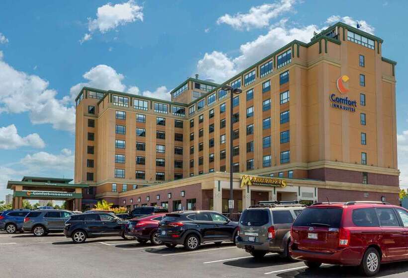 فندق Comfort Inn & Suites Logan International Airport