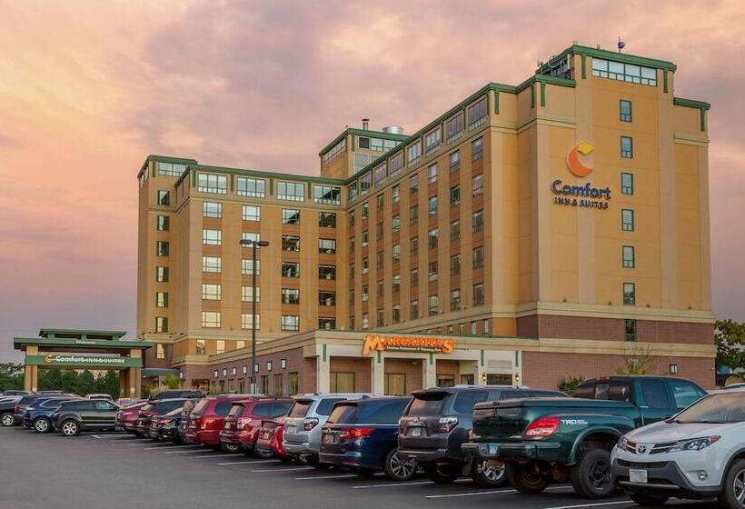 בית מלון כפרי Comfort Inn & Suites Logan International Airport