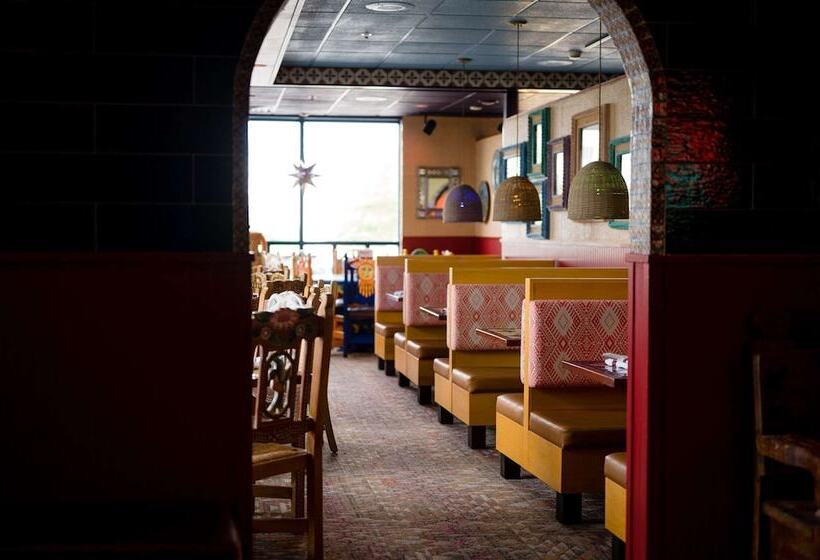 فندق Comfort Inn & Suites Logan International Airport