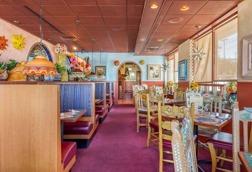 בית מלון כפרי Comfort Inn & Suites Logan International Airport