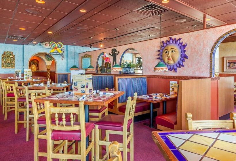 בית מלון כפרי Comfort Inn & Suites Logan International Airport