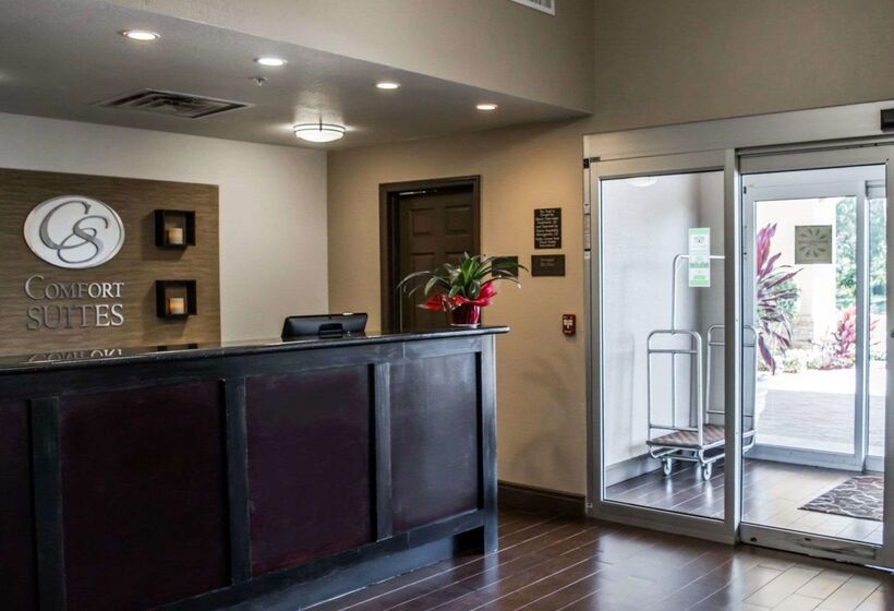 فندق Comfort Suites Clearwater  Dunedin