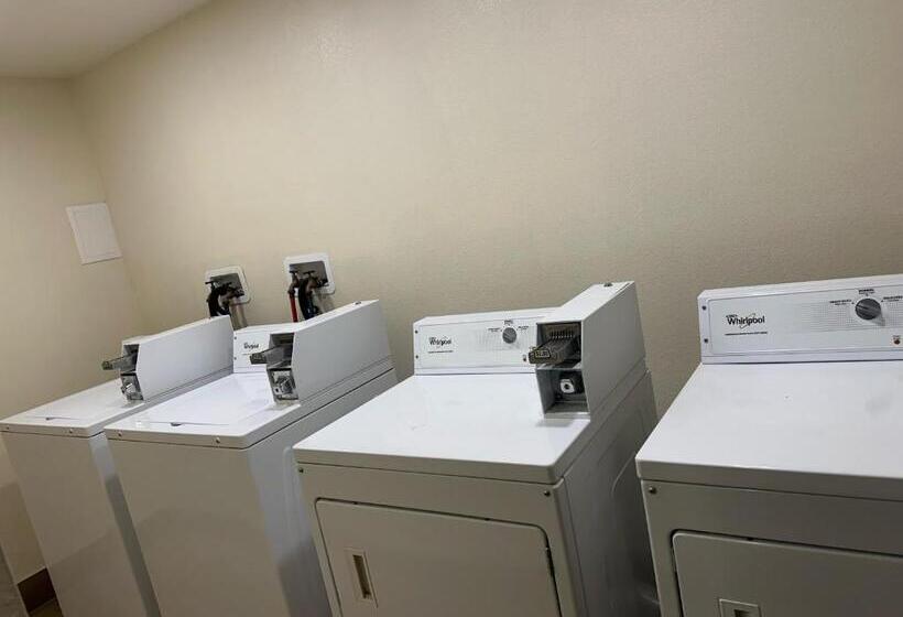 فندق Vista Suites Near Leconte Convention Center