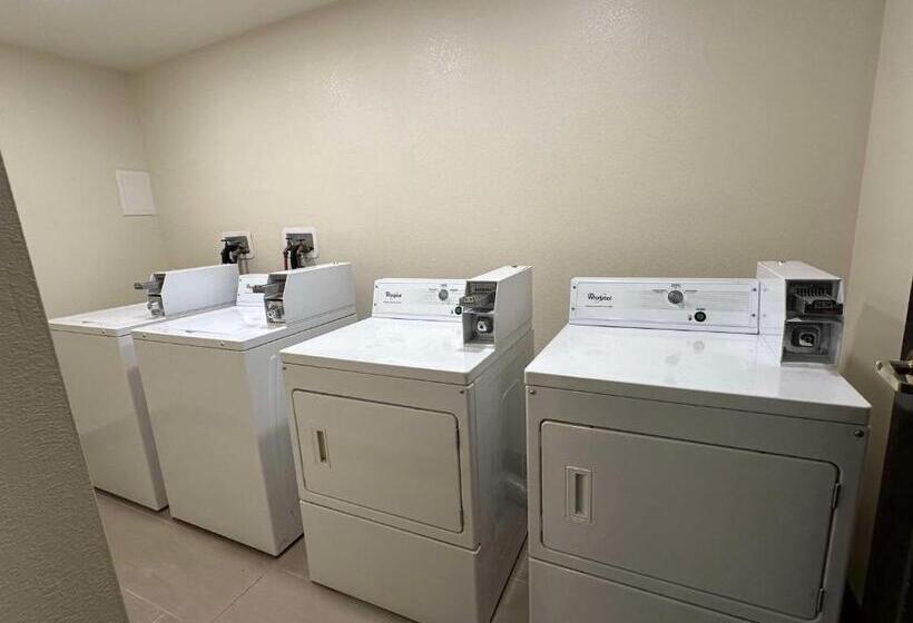 فندق Vista Suites Near Leconte Convention Center