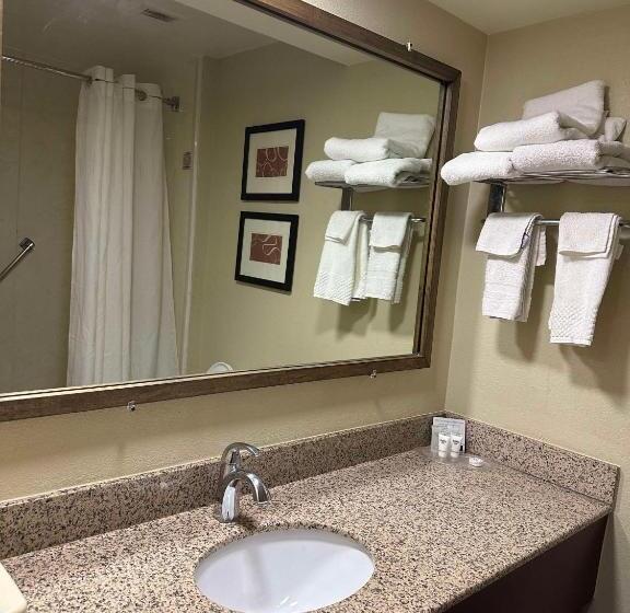 فندق Vista Suites Near Leconte Convention Center