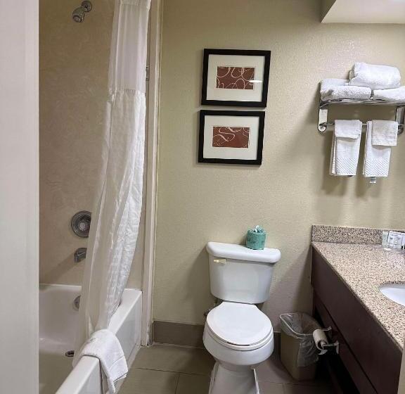 فندق Vista Suites Near Leconte Convention Center