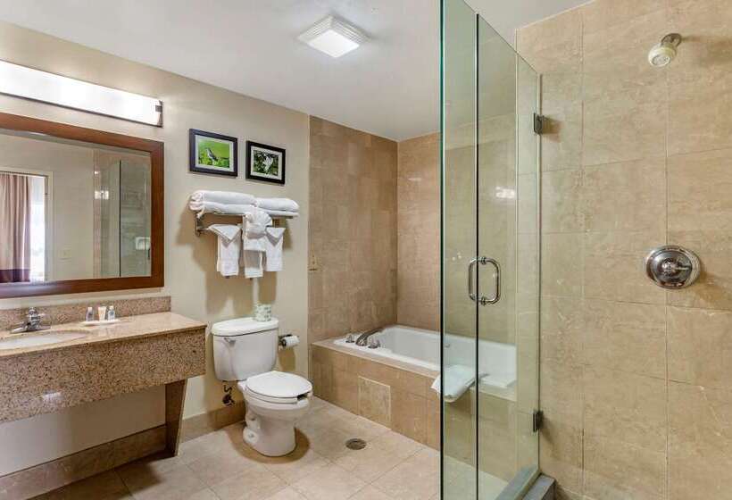 فندق Comfort Suites Southaven I55