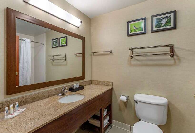 호텔 Comfort Suites Southaven I55