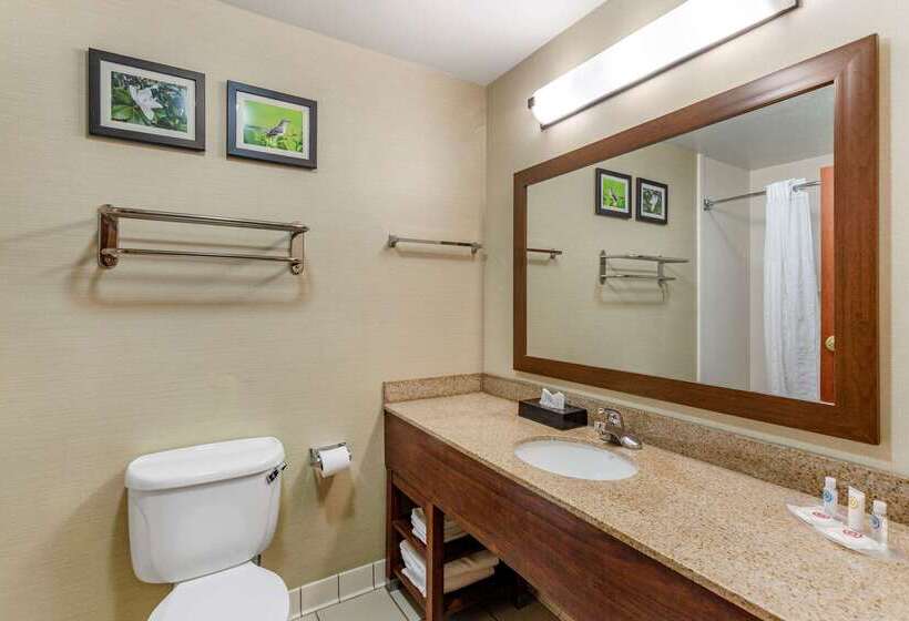 فندق Comfort Suites Southaven I55