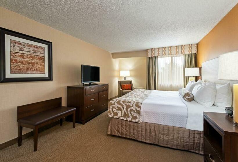 酒店 Crowne Plaza Dallas Near Galleriaaddison, An Ihg