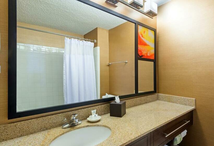 酒店 Crowne Plaza Dallas Near Galleriaaddison, An Ihg