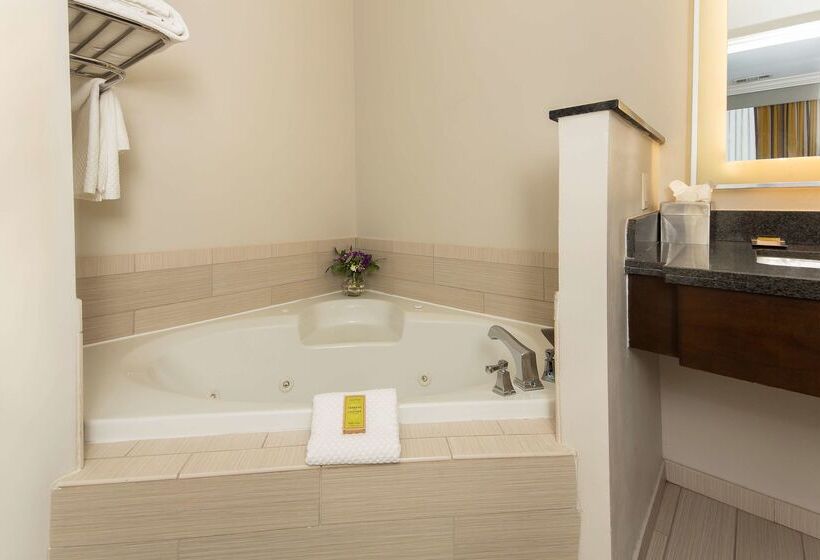 Doubletree By Hilton Hotel Savannah Historic District