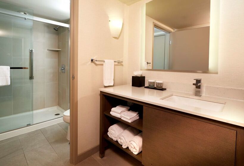 هتل Embassy Suites By Hilton Phoenix Scottsdale