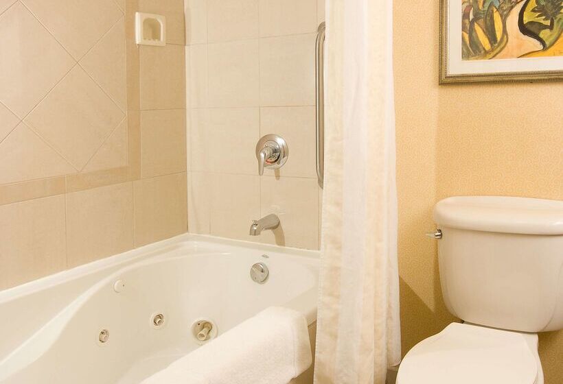 Отель Hilton Garden Inn Atlanta Airport/millenium Center