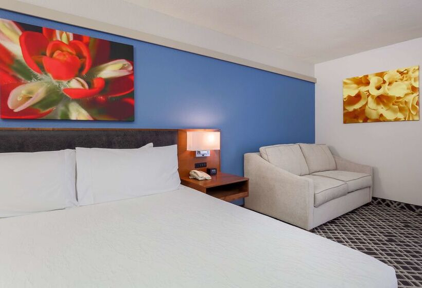 Отель Hilton Garden Inn Dallas/market Center