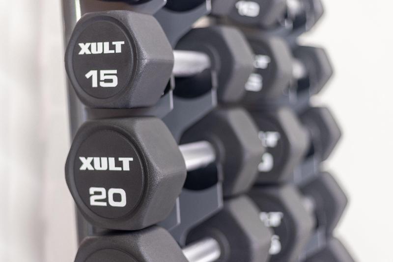 فندق Holiday Inn Express And Suites Tampa I 75 At Bruce B. Downs, An Ihg