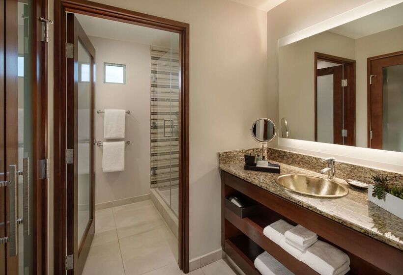 Отель Grand Hyatt Scottsdale Resort