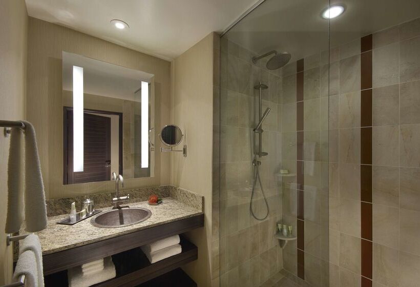 Отель Grand Hyatt Scottsdale Resort