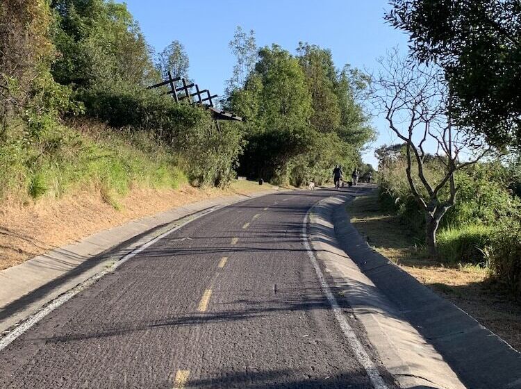 ホテル Margarita 2