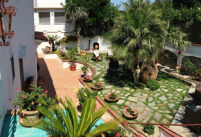 酒店 Mediterraneo Guest House