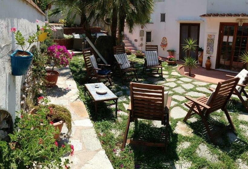 酒店 Mediterraneo Guest House