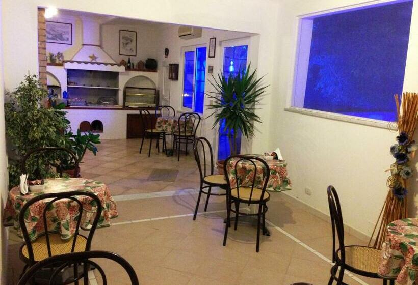 酒店 Mediterraneo Guest House