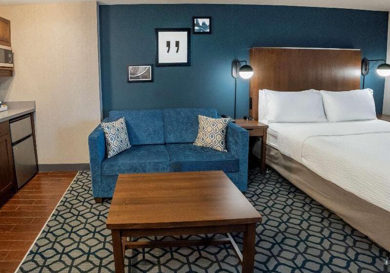 هتل Crowne Plaza Niagara Falls Ny   Riverside, An Ihg