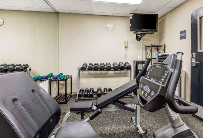 酒店 Quality Inn Airport I240