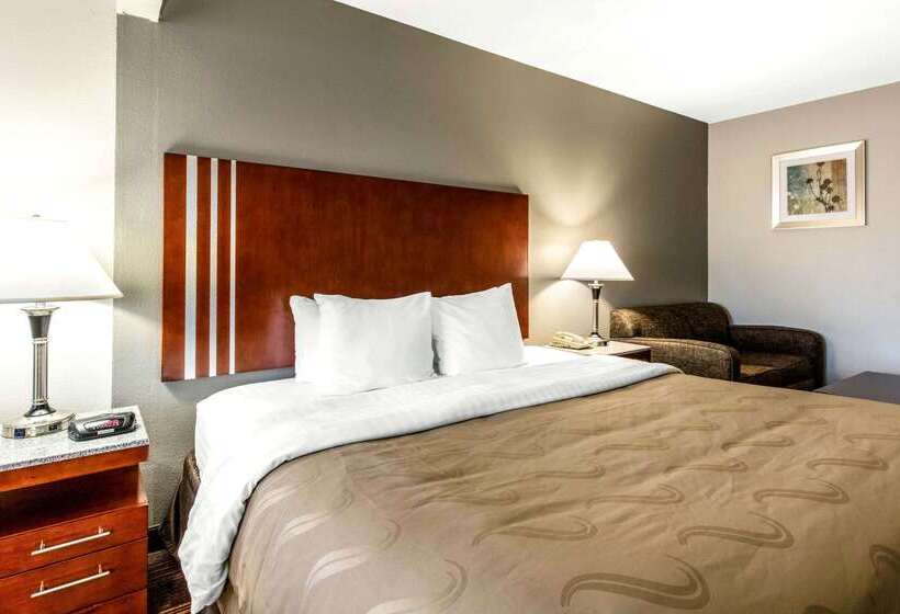 酒店 Quality Inn Airport I240