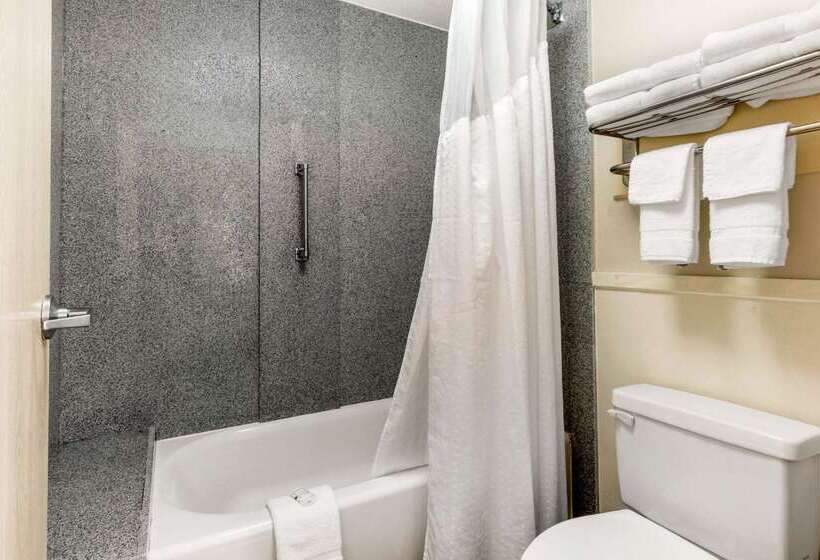 酒店 Quality Inn Airport I240