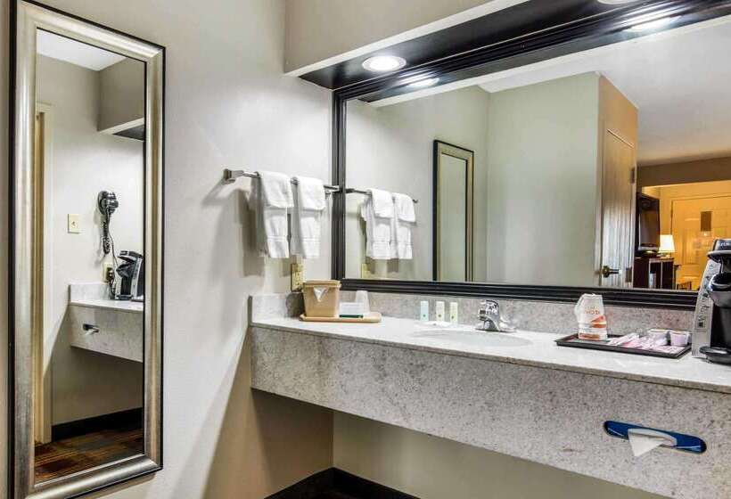 酒店 Quality Inn Airport I240